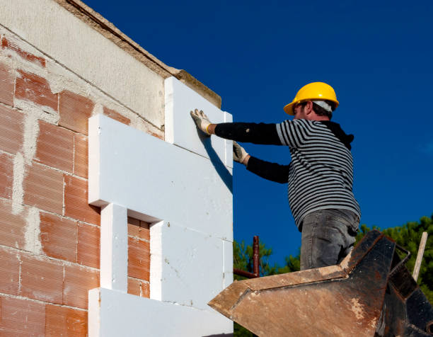 Best Commercial Insulation in Kurtistown, HI