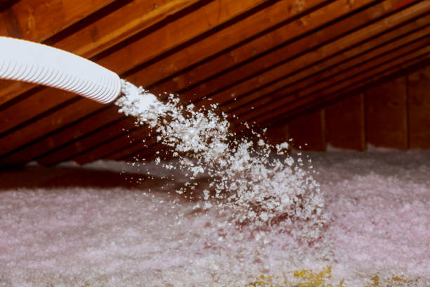 Best Specialty Insulation in Kurtistown, HI