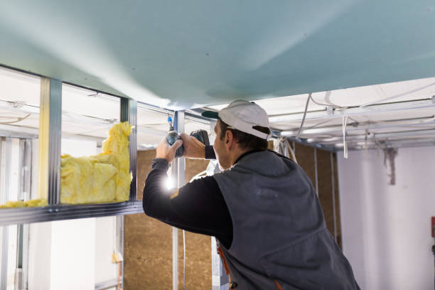 Best Residential Insulation in Kurtistown, HI