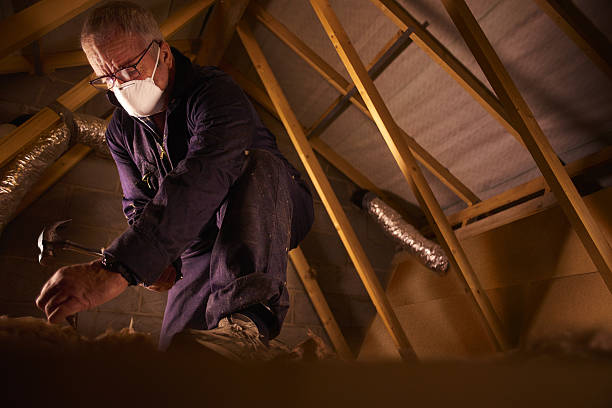 Best Insulation Installation Services in Kurtistown, HI